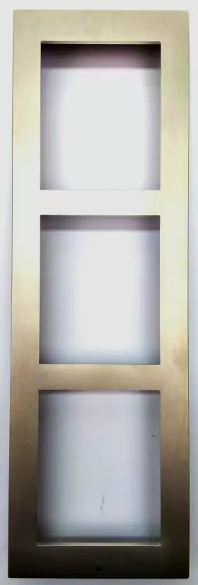 01291-001 2N Frame Modules Plate Ip Verso Door Intercom