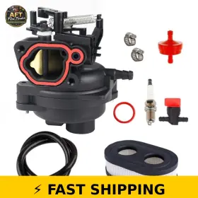 799584 AIIQEE Carburetor Set Bs Mowers Engines