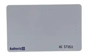 729910958323 AUTHORIZID Printable Cards Keyscan Bit Format #2