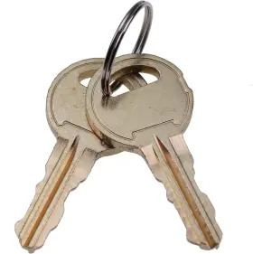711181299694 JZGRDN Keys Doorking Access Door #3