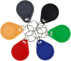 IC10-RANDOM LIBO SMART HOME Rfid Keychains Nfc Key Card