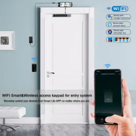 701919854028 OLIDESMART Wifi Access Control Holding Force Sys #2