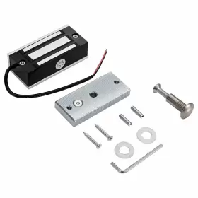 610406284913 RICBD Electric Magnetic Door Lock Holding Force