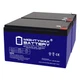 Mighty Max 12V 12AH GEL F2 Battery Compatible with Altronix AL300ULXD - 2 Pack