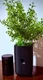 SimpliSafe SimpliCam Model SCM200 - Woven Pot Housing