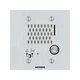 Aiphone IX-SS-2G 2 Gang Ip Audio Flush (ixss2g)