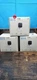 3 Blink Mini Indoor Plug-In Live HD Smart Security Camera (Brand New)